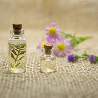 Ätherisches Öl Cajeput: Herstellung, Inhaltsstoffe, Eigenschaften