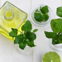 Ätherisches Öl Pfefferminze: Pflanze, Herstellung, Inhaltsstoffe