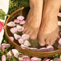 Ätherisches Öl Rose: Pflanze, Herstellung, Anwendung