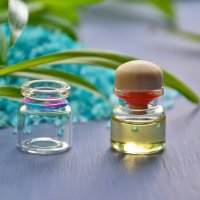 Ätherisches Öl Tonka: Pflanze, Herstellung, Inhaltsstoffe