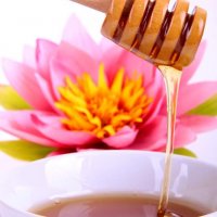 Apitherapie: Definition und Basiswissen